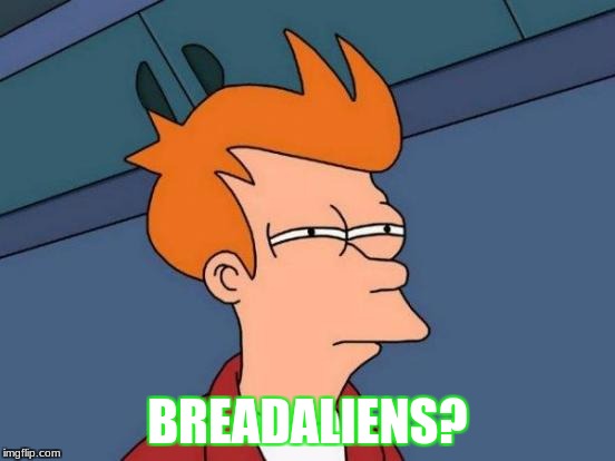 Futurama Fry Meme | BREADALIENS? | image tagged in memes,futurama fry | made w/ Imgflip meme maker