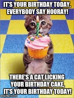 There's a Cat Licking Your Birthday (Cup) Cake! | IT'S YOUR BIRTHDAY TODAY, EVERYBODY SAY HOORAY! THERE'S A CAT LICKING YOUR BIRTHDAY CAKE, IT'S YOUR BIRTHDAY TODAY! | image tagged in happy birthday cat,memes,cat memes | made w/ Imgflip meme maker