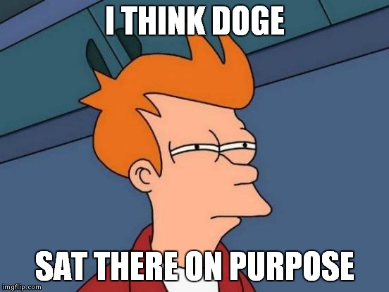 Futurama Fry Meme | I THINK DOGE SAT THERE ON PURPOSE | image tagged in memes,futurama fry | made w/ Imgflip meme maker