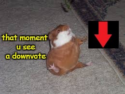 that moment u see a downvote | image tagged in jumpy g-pig | made w/ Imgflip meme maker