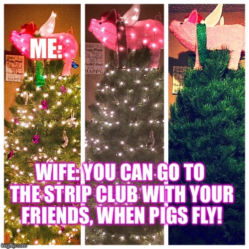 image tagged in pigs fly | made w/ Imgflip meme maker