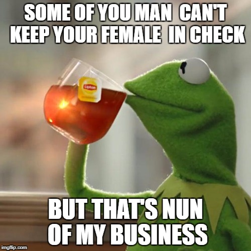 But That's None Of My Business Meme | SOME OF YOU MAN 
CAN'T KEEP YOUR FEMALE  IN CHECK; BUT THAT'S NUN OF MY BUSINESS | image tagged in memes,but thats none of my business,kermit the frog | made w/ Imgflip meme maker