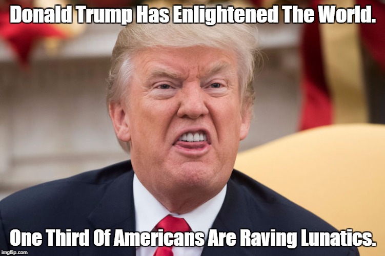 "Donald Trump Has Enlightened The World" | Donald Trump Has Enlightened The World. One Third Of Americans Are Raving Lunatics. | image tagged in deplorable donald,despicable donald,devious donald,dishonorable donald,delusional donald,dishonest donald | made w/ Imgflip meme maker