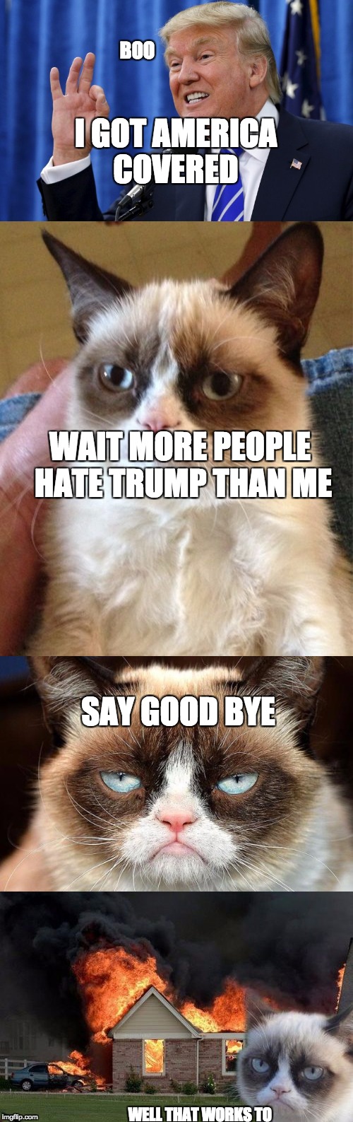 grumpy cat gets mad | I GOT AMERICA COVERED; BOO; WAIT MORE PEOPLE HATE TRUMP THAN ME; SAY GOOD BYE; WELL THAT WORKS TO | image tagged in funny memes,revenge,lol,grumpy cat | made w/ Imgflip meme maker