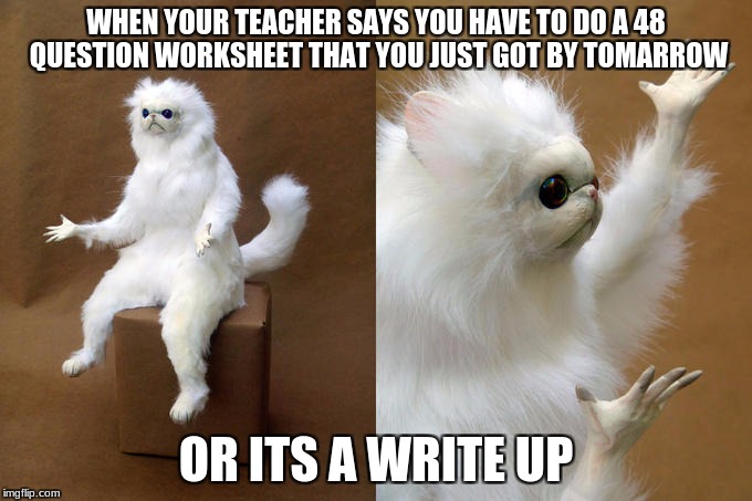 Persian Cat Room Guardian Meme | WHEN YOUR TEACHER SAYS YOU HAVE TO DO A 48 QUESTION WORKSHEET THAT YOU JUST GOT BY TOMARROW; OR ITS A WRITE UP | image tagged in memes,persian cat room guardian | made w/ Imgflip meme maker