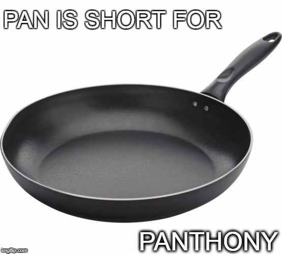 Panthony | PAN IS SHORT FOR; PANTHONY | image tagged in pan,puns,cooking,anthony,short for | made w/ Imgflip meme maker