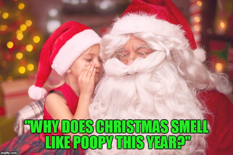 "WHY DOES CHRISTMAS SMELL LIKE POOPY THIS YEAR?" | made w/ Imgflip meme maker