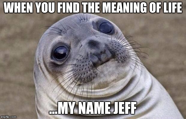 Awkward Moment Sealion Meme | WHEN YOU FIND THE MEANING OF LIFE; ...MY NAME JEFF | image tagged in memes,awkward moment sealion | made w/ Imgflip meme maker