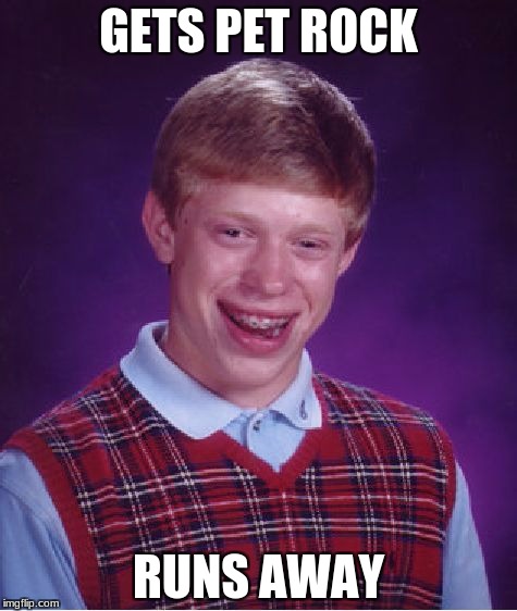 Bad Luck Brian | GETS PET ROCK; RUNS AWAY | image tagged in memes,bad luck brian | made w/ Imgflip meme maker