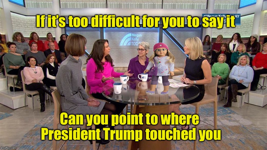 Sexual Harassment Trump | If it’s too difficult for you to say it; Can you point to where President Trump touched you | image tagged in donald trump approves,megan kelly | made w/ Imgflip meme maker
