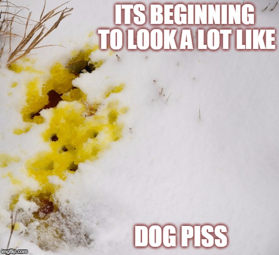 pissmas | ITS BEGINNING TO LOOK A LOT LIKE; DOG PISS | image tagged in yellow,snow,happy holidays,christmas,dogs,cheer | made w/ Imgflip meme maker