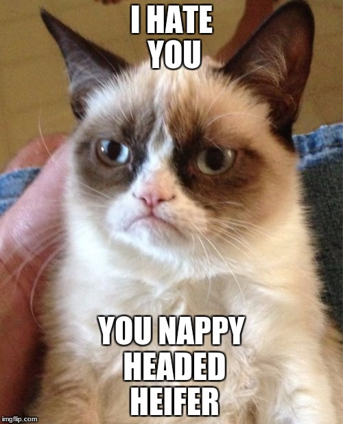 Grumpy Cat Meme | I HATE YOU; YOU NAPPY HEADED HEIFER | image tagged in memes,grumpy cat | made w/ Imgflip meme maker