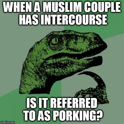 Philosoraptor Meme | WHEN A MUSLIM COUPLE HAS INTERCOURSE; IS IT REFERRED TO AS PORKING? | image tagged in memes,philosoraptor | made w/ Imgflip meme maker