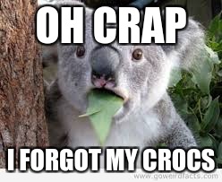 OH CRAP; I FORGOT MY CROCS | image tagged in koala | made w/ Imgflip meme maker