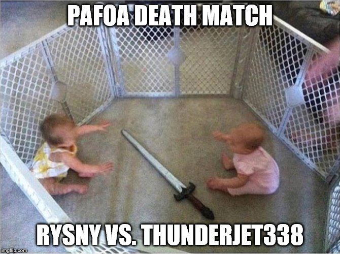Babies Fight | PAFOA DEATH MATCH; RYSNY VS. THUNDERJET338 | image tagged in babies fight | made w/ Imgflip meme maker