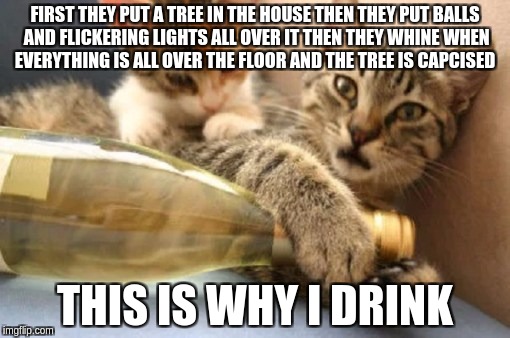 FIRST THEY PUT A TREE IN THE HOUSE THEN THEY PUT BALLS AND FLICKERING LIGHTS ALL OVER IT THEN THEY WHINE WHEN EVERYTHING IS ALL OVER THE FLOOR AND THE TREE IS CAPCISED; THIS IS WHY I DRINK | image tagged in why i drink | made w/ Imgflip meme maker