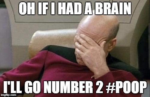 Captain Picard Facepalm | OH IF I HAD A BRAIN; I'LL GO NUMBER 2 #POOP | image tagged in memes,captain picard facepalm | made w/ Imgflip meme maker