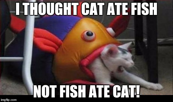 Vise Versa | I THOUGHT CAT ATE FISH; NOT FISH ATE CAT! | image tagged in cat,fish,catfish,memes,eating,abuse | made w/ Imgflip meme maker