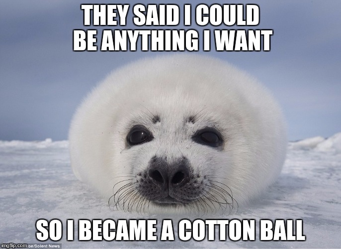 THEY SAID I COULD BE ANYTHING I WANT; SO I BECAME A COTTON BALL | made w/ Imgflip meme maker