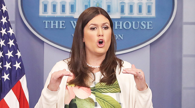 High Quality Sarah Sanders Blank Meme Template