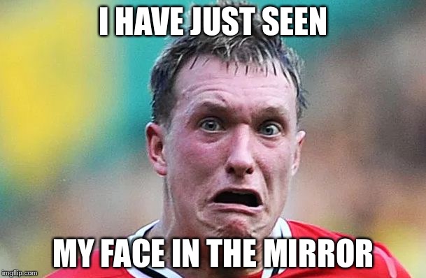 I have just seen | I HAVE JUST SEEN; MY FACE IN THE MIRROR | image tagged in i have just seen,memes,ugly | made w/ Imgflip meme maker