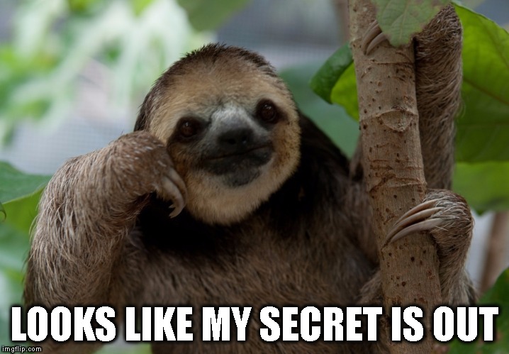 LOOKS LIKE MY SECRET IS OUT | image tagged in personality sloth | made w/ Imgflip meme maker