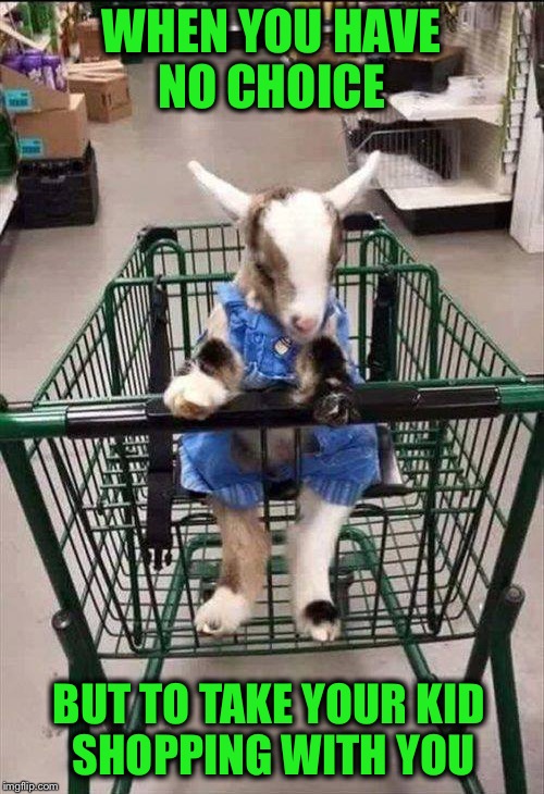 This is a Ba-a-a-a-d Meme! | WHEN YOU HAVE NO CHOICE; BUT TO TAKE YOUR KID  SHOPPING WITH YOU | image tagged in kid,goat,bad joke | made w/ Imgflip meme maker