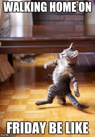 Cool Cat Stroll Meme | WALKING HOME ON; FRIDAY BE LIKE | image tagged in memes,cool cat stroll | made w/ Imgflip meme maker