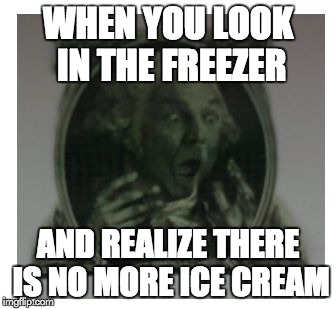 True Dat | WHEN YOU LOOK IN THE FREEZER; AND REALIZE THERE IS NO MORE ICE CREAM | image tagged in scared g dubs | made w/ Imgflip meme maker
