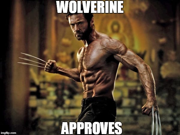 WOLVERINE; APPROVES | image tagged in wolverine,memes | made w/ Imgflip meme maker