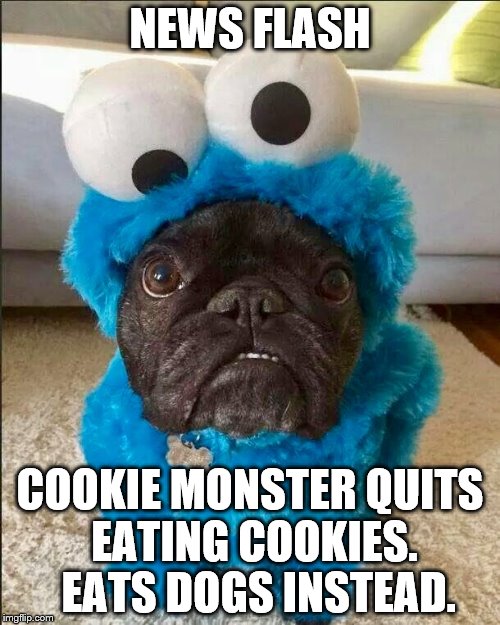 Cookie Monster | NEWS FLASH; COOKIE MONSTER QUITS EATING COOKIES.  EATS DOGS INSTEAD. | image tagged in cookie monster | made w/ Imgflip meme maker