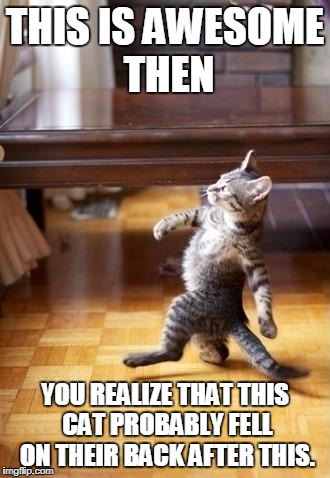 Cool Cat Stroll Meme | THIS IS AWESOME THEN; YOU REALIZE THAT THIS CAT PROBABLY FELL ON THEIR BACK AFTER THIS. | image tagged in memes,cool cat stroll | made w/ Imgflip meme maker