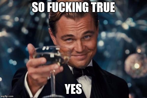 Leonardo Dicaprio Cheers Meme | SO F**KING TRUE YES | image tagged in memes,leonardo dicaprio cheers | made w/ Imgflip meme maker