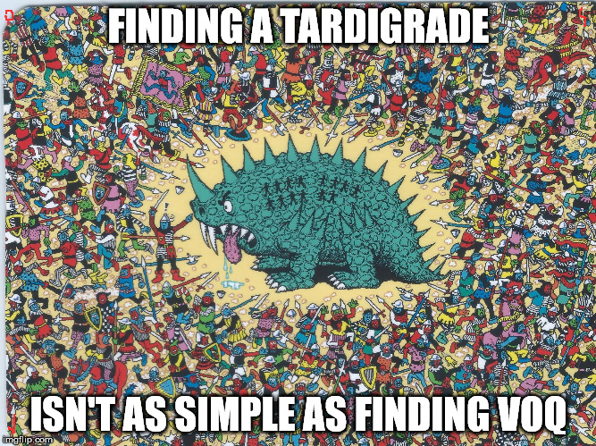 Star Trek: DISCOVERY - Finding Voq | FINDING A TARDIGRADE; ISN'T AS SIMPLE AS FINDING VOQ | image tagged in voq-disco,star trek,voq,tardigrade,disco,discovery | made w/ Imgflip meme maker