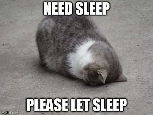 face down cat | NEED SLEEP; PLEASE LET SLEEP | image tagged in face down cat | made w/ Imgflip meme maker