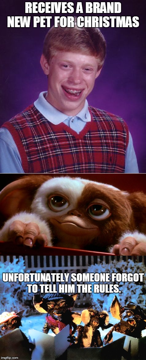 A Bad Luck Brian Christmas | RECEIVES A BRAND NEW PET FOR CHRISTMAS; UNFORTUNATELY SOMEONE FORGOT TO TELL HIM THE RULES. | image tagged in bad luck brian,gremlins | made w/ Imgflip meme maker