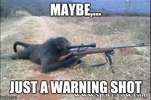 Gorilla Warfare | MAYBE,... JUST A WARNING SHOT | image tagged in gorilla warfare | made w/ Imgflip meme maker