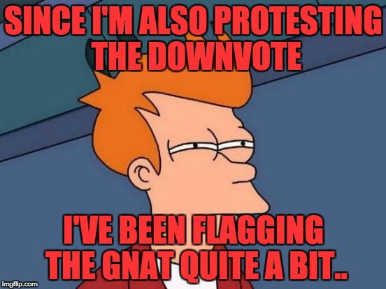 Futurama Fry | SINCE I'M ALSO PROTESTING THE DOWNVOTE; I'VE BEEN FLAGGING THE GNAT QUITE A BIT.. | image tagged in memes,futurama fry | made w/ Imgflip meme maker
