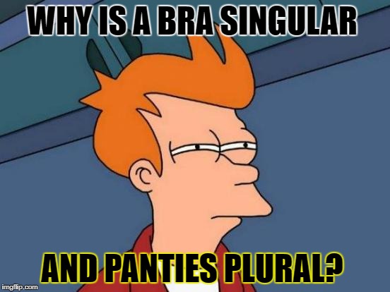 Futurama Fry Meme | WHY IS A BRA SINGULAR; AND PANTIES PLURAL? | image tagged in memes,futurama fry | made w/ Imgflip meme maker