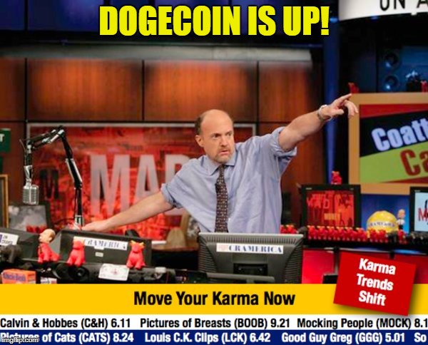 Stock Guy | DOGECOIN IS UP! | image tagged in stock guy | made w/ Imgflip meme maker