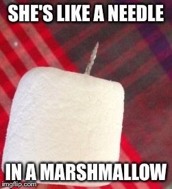 SHE'S LIKE A NEEDLE IN A MARSHMALLOW | made w/ Imgflip meme maker