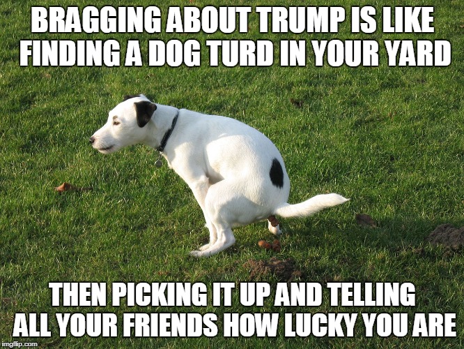 BRAGGING ABOUT TRUMP IS LIKE FINDING A DOG TURD IN YOUR YARD; THEN PICKING IT UP AND TELLING ALL YOUR FRIENDS HOW LUCKY YOU ARE | image tagged in poop | made w/ Imgflip meme maker