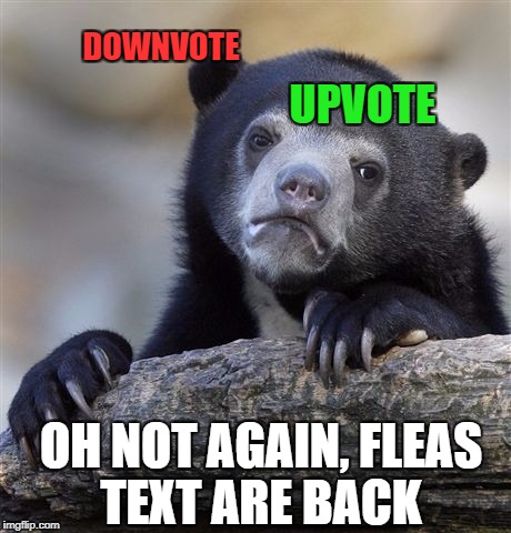 Confession Bear | DOWNVOTE; UPVOTE; OH NOT AGAIN, FLEAS TEXT ARE BACK | image tagged in memes,confession bear | made w/ Imgflip meme maker