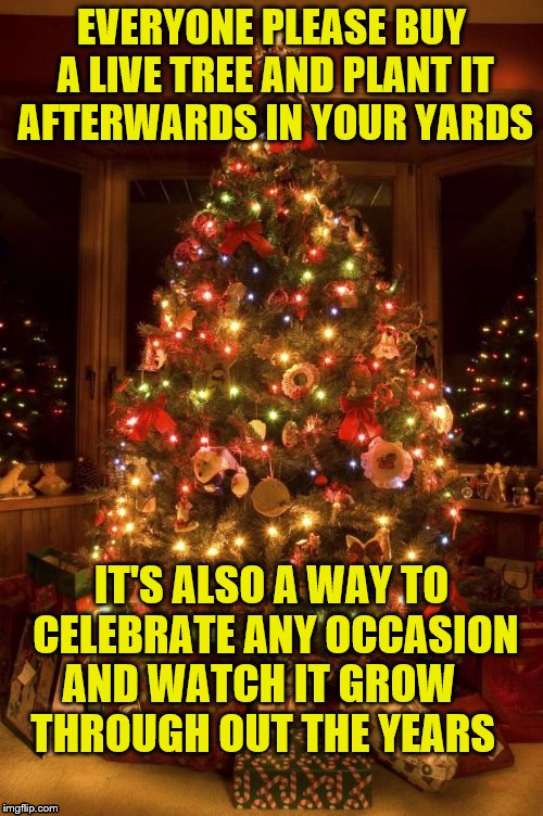 Christmas Tree | EVERYONE PLEASE BUY A LIVE TREE AND PLANT IT AFTERWARDS IN YOUR YARDS; IT'S ALSO A WAY TO  CELEBRATE ANY OCCASION   AND WATCH IT GROW      THROUGH OUT THE YEARS | image tagged in christmas tree | made w/ Imgflip meme maker