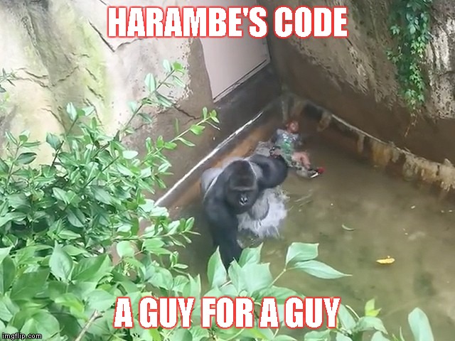 Gorilla vs. Boy | HARAMBE'S CODE; A GUY FOR A GUY | image tagged in memes,harambe,harambe's code,gorilla,vs,boy | made w/ Imgflip meme maker