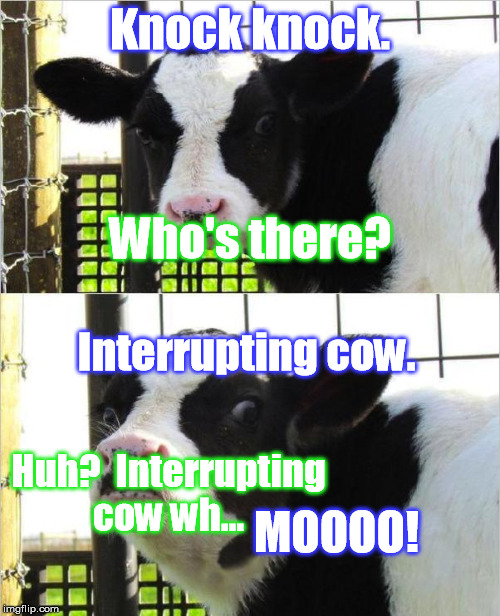 Bad cow knock-knock joke (hope it hasn't been done already) | Knock knock. Who's there? Interrupting cow. MOOOO! Huh?  Interrupting cow wh... | image tagged in cows | made w/ Imgflip meme maker