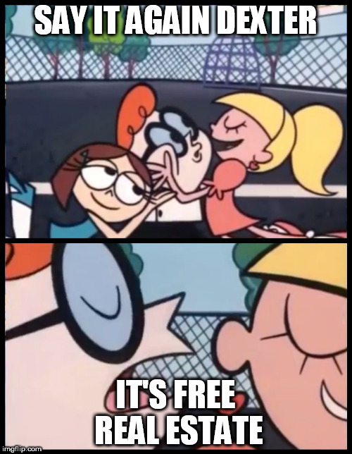 Say it Again, Dexter | SAY IT AGAIN DEXTER; IT'S FREE REAL ESTATE | image tagged in say it again dexter | made w/ Imgflip meme maker