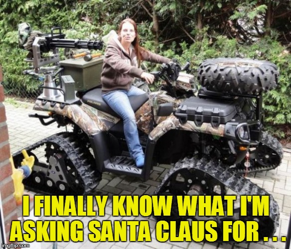 My Christmsn list.... | I FINALLY KNOW WHAT I'M ASKING SANTA CLAUS FOR . . . | image tagged in funny | made w/ Imgflip meme maker