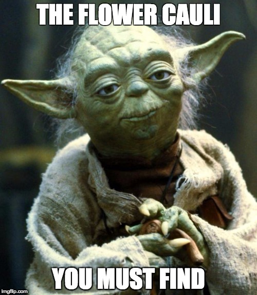 Star Wars Yoda Meme | THE FLOWER CAULI; YOU MUST FIND | image tagged in memes,star wars yoda | made w/ Imgflip meme maker