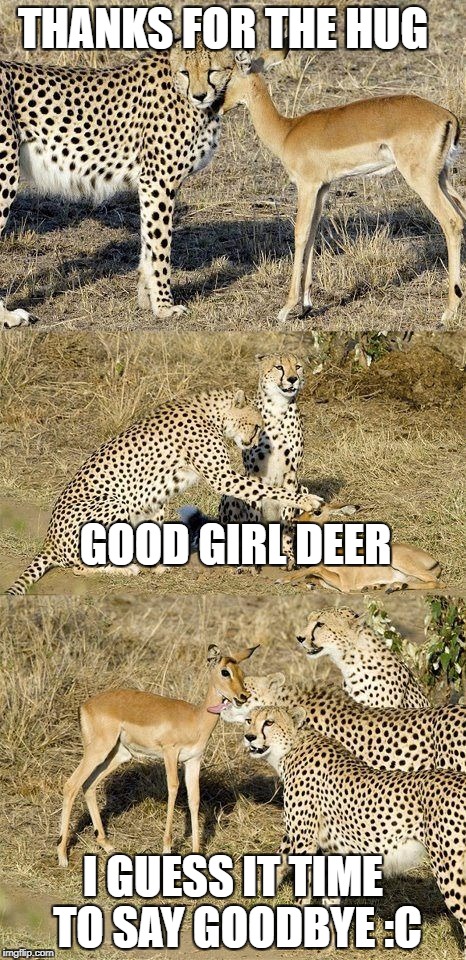 THANKS FOR THE HUG; GOOD GIRL DEER; I GUESS IT TIME TO SAY GOODBYE :C | made w/ Imgflip meme maker